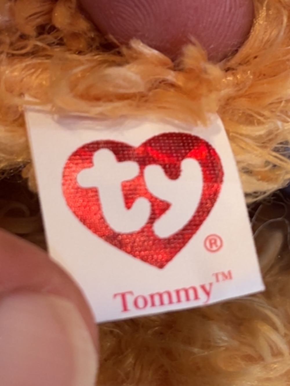 ‘02 - Ty - Tommy the Turkey Beanie Baby - Picture 8 of 9